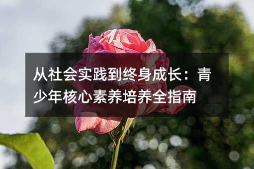 从社会实践到终身成长:青少年核心素养培养全指南