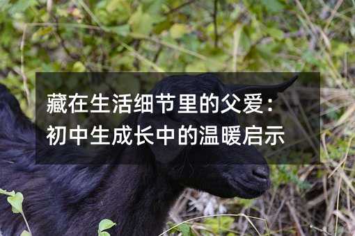 藏在生活细节里的父爱:初中生成长中的温暖启示