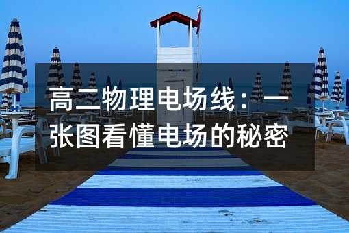 �߶������糡�ߣ�һ��ͼ�����糡������