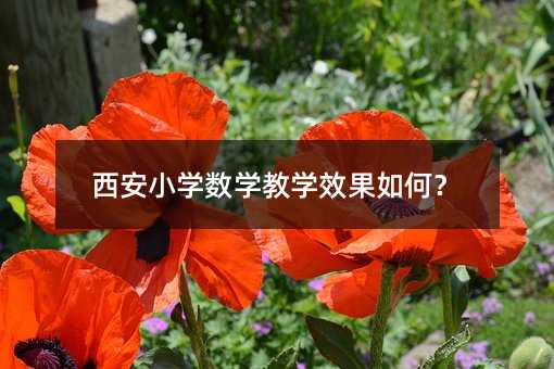 西安小学数学教学效果如何?