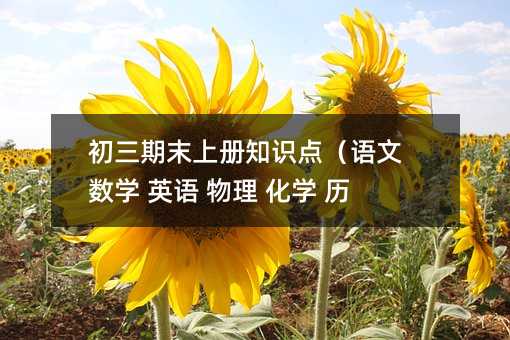 初三期末上册知识点(语文 数学 英语 物理 化学 历史)