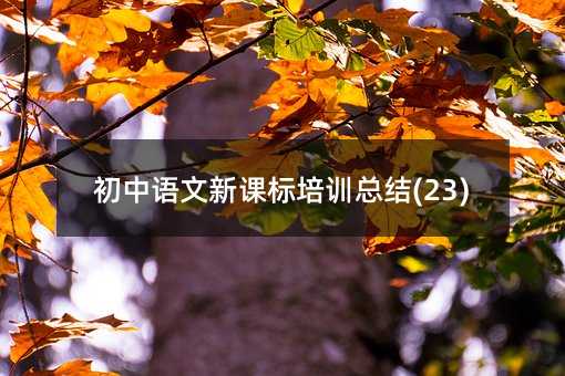 初中语文新课标培训总结(23)