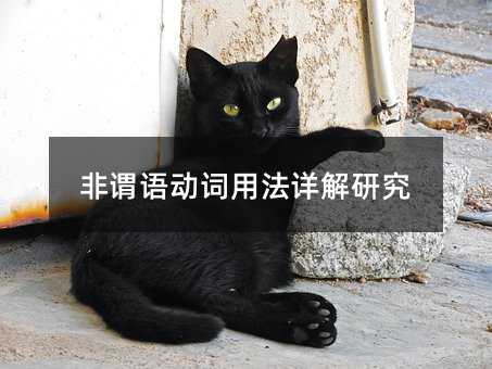非谓语动词用法详解研究