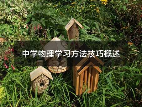 中学物理学习方法技巧概述