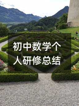 初中数学个人研修总结