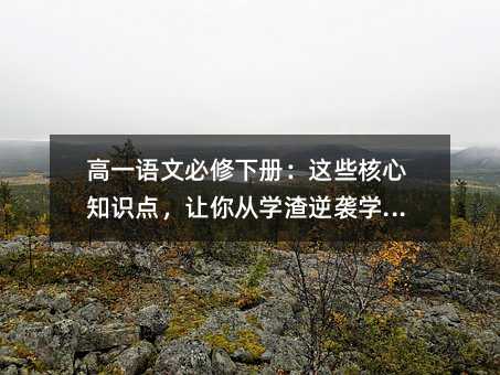 高一语文必修下册:这些核心知识点,让你从学渣逆袭学霸!