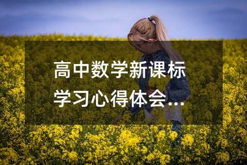 高中数学新课标学习心得体会(2)