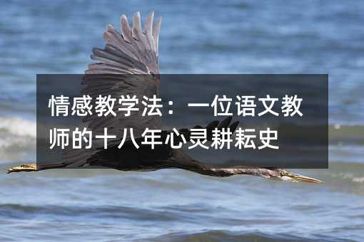 情感教学法:一位语文教师的十八年心灵耕耘史