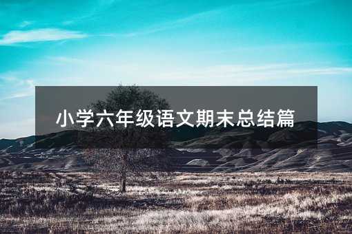 小学六年级语文期末总结篇