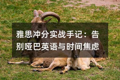 ��˼���ʵս�ּǣ�����ư�Ӣ����ʱ�佹��