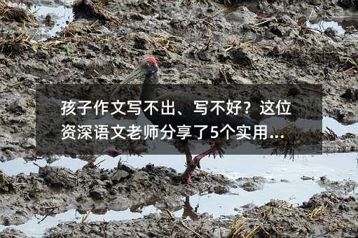 ��������д������д���ã���λ����������ʦ������5��ʵ���ؾ�