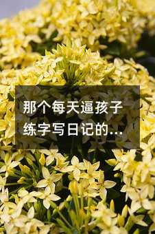 那个每天逼孩子练字写日记的老师,后来怎么样了?