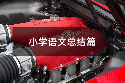 小学语文总结篇