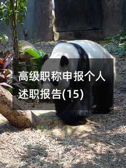 高级职称申报个人述职报告(15)