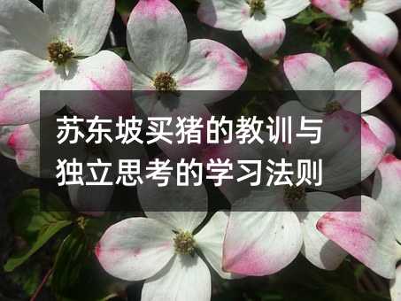 �ն��������Ľ�ѵ�����˼����ѧϰ����