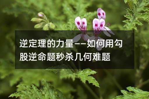 �涨����������������ù�����������ɱ��������