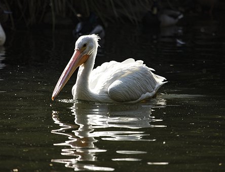 学校忙减负 家长莫盲目给孩子加餐