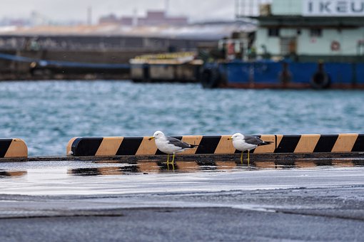 双语:应对谷歌烧脑招聘面试题 你够聪明吗