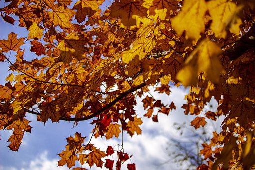 ������ʷ��ˮ�룺һ���ú�������������ѧϰ�滮